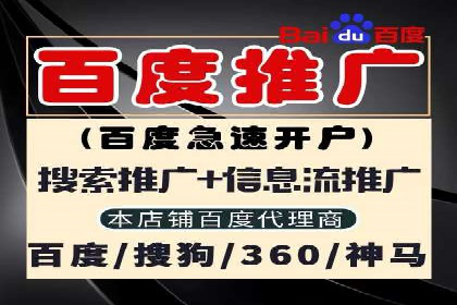 成功案例解读：SEM推广代运营策略